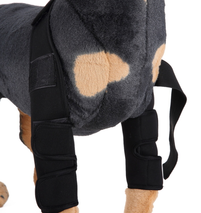 Supportive Knee & Leg Brace for Dogs
