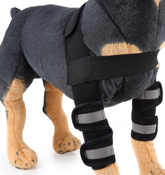 Supportive Knee & Leg Brace for Dogs
