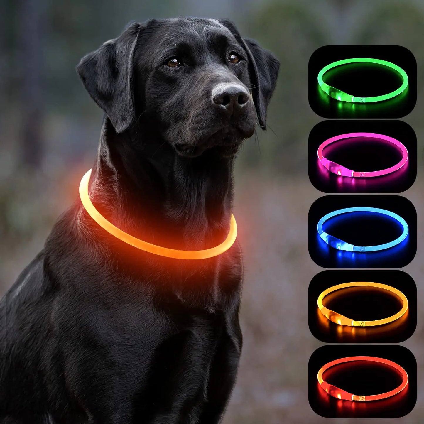 LED rechargeable safety collar for dogs