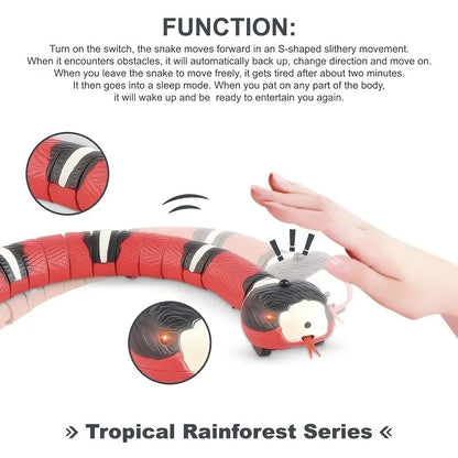 USB Rechargeable Interactive Snake Toy for Cats