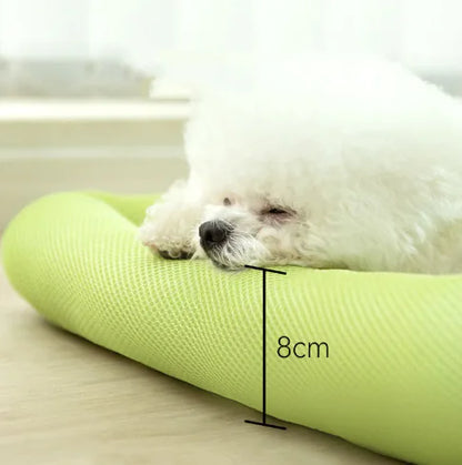 Cat lounging on cooling mat
