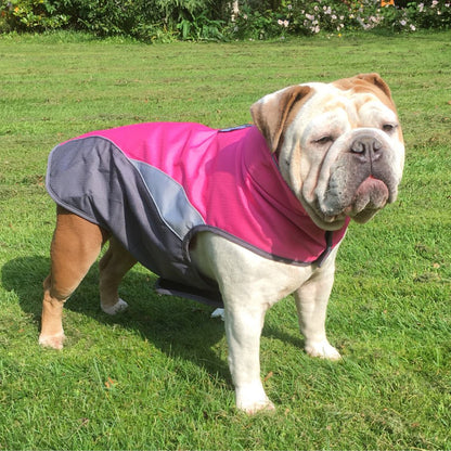 Waterproof Dog Raincoat & Winter Jacket
